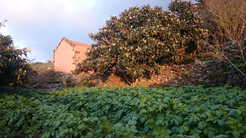 Gran Drago Villa Valverde  Dış mekan fotoğraf